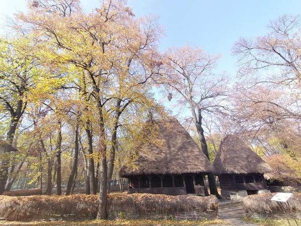 Lucrări de restaurare la Muzeul Satului